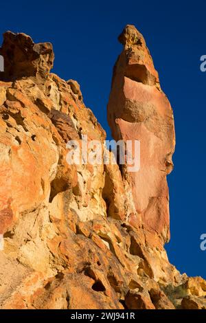 Affioramenti in Juniper Gulch, Honeycombs Wilderness Study area, Leslie Gulch area of Critical Environmental Concern, vale District Bureau of Land Managem Foto Stock