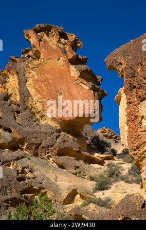 Affioramenti in Juniper Gulch, Honeycombs Wilderness Study area, Leslie Gulch area of Critical Environmental Concern, vale District Bureau of Land Managem Foto Stock