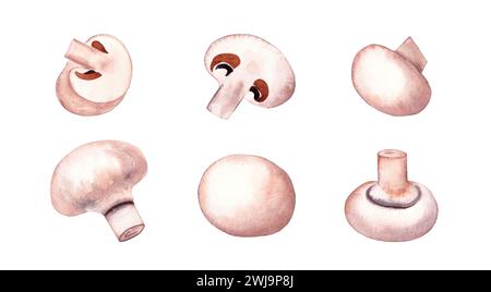 Set champignon di funghi freschi acquerelli. Illustrazione disegnata a mano, isolata su sfondo bianco Foto Stock