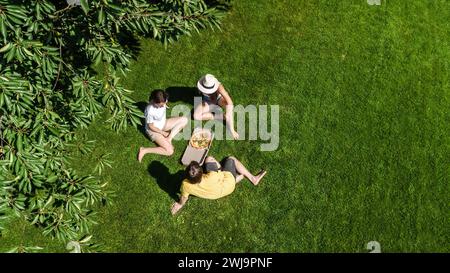 Famiglia e amici mangiano pizza durante il picnic estivo nel parco, rilassandosi sull'erba e divertendosi, vista aerea dai droni dall'alto Foto Stock