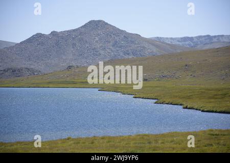 Riva del lago Sheosar nel Deosai National Park con uno splendido sfondo montano Foto Stock