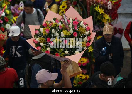 Città del Messico, Messico. 13 febbraio 2024. Un uomo porta fiori prima di San Valentino a città del Messico, Messico, 13 febbraio 2024. Crediti: Francisco Canedo/Xinhua/Alamy Live News Foto Stock