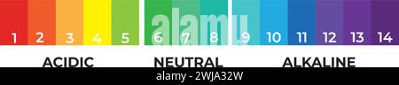 Diagramma grafico indicatore scala pH misura alcalina acida. Analisi del pH test del valore della scala chimica Illustrazione Vettoriale