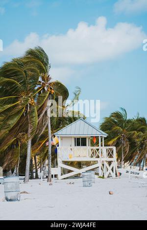 Una pittoresca torre bagnino sorge circondata da lussureggianti palme su una tranquilla spiaggia di Miami in Florida, Stati Uniti, che mostra una classica scena costiera. Foto Stock