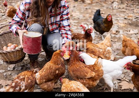 Giovane donna contadina felice che dà a mano il mais ai polli. Benessere e cura degli animali in un'azienda agricola biologica. Foto Stock