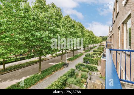Una vista sopraelevata di una tranquilla strada suburbana con alberi verdeggianti e condomini residenziali in una giornata di sole Foto Stock