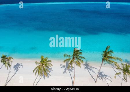 Le palme sono ombreggiate sulla spiaggia sabbiosa e l'oceano turchese dall'alto. Incredibile paesaggio naturale estivo. Splendida spiaggia soleggiata, rilassante e tranquilla Foto Stock