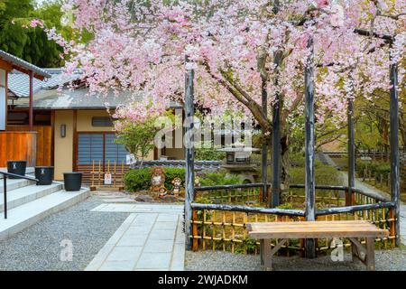 Kyoto, Giappone - 6 aprile 2023: Il Tempio di Adashino Nenbutsuji, fondato nel 811, è situato su una collina e leggermente distante dalla principale area turistica di Arash Foto Stock