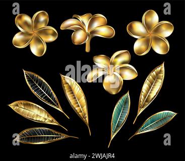 Set di gioielli, fiori d'oro lucidi e preziosi e foglie plumeria su sfondo nero. plumeria fiore d'oro. Illustrazione Vettoriale