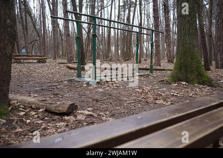 Foto di barre parallele nel bosco Foto Stock