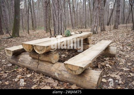 Foto della bussola dipinta a terra Foto Stock