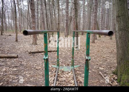 Foto di barre parallele nel bosco Foto Stock