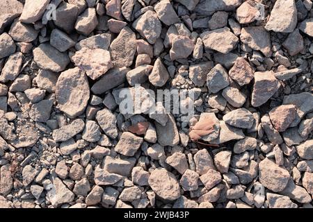 Primo piano sulla grana di ghiaia. Pietre e ciottoli sul terreno sotto i raggi del sole. Foto Stock