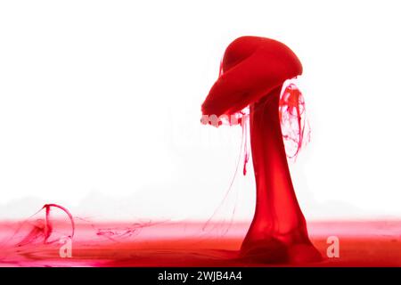 I colori sono caduti in liquido e fotografati mentre sono in movimento su sfondo bianco. Caduta colore. Messa a fuoco selettiva. Foto Stock