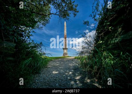 Il Beacon, Bodmin, Cornovaglia, un obelisco alto 144 piedi in memoria del generale Sir Walter Raleigh Gilbert, Foto Stock