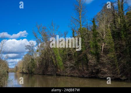 Jubilee River, fiume artificiale, recintato per ridurre le inondazioni a Windsor, Maidenhead ed Eton, Buckinghamshire, Inghilterra, Regno Unito, GB. Foto Stock