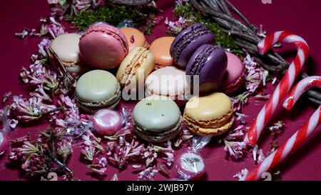 Macaron colorati e canne da zucchero circondati da fiori. Foto Stock