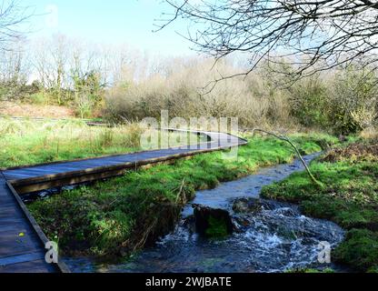 Circuito Des Korrigan, Lieu dit Mougau Bihan, Commana. Un percorso sopraelevato che ti porta sui prati umidi della torbiera Mougau Foto Stock