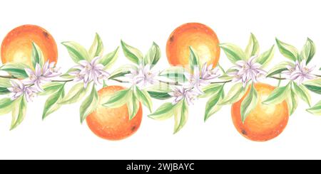 Bordo senza cuciture con arance frutta, foglie e fiori. Rami in fiore degli agrumi. Sfondo per illustrazione disegnato a mano ad acquerello con st. Floreale Foto Stock