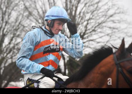 Fontwell, Regno Unito. 14 febbraio 2024, alto tradimento, guidato da Sam Twiston-Davies vince il 2,20 a Fontwell Park. Foto Stock