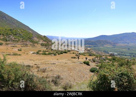 13 settembre 2023 - Lago di Prespa, Albania: Asini e agricoltori (Equus africanus asinus) attraversano la strada Foto Stock