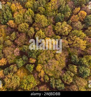 Bäume im Herbst, herbstlich gefärbte Baumkronen, leuchtende Herbstfarben, Farbpalette Luftaufnahme, Luftbild eines Waldes, Herbstwald, Laubbäume, Naturfarben im Herbst, Vogelperspektive, Europa. *** Alberi in autunno, cime di alberi colorate autunnali in autunno, ripresa aerea di una foresta, alberi decidui, colori della natura in autunno, vista a volo d'uccello, Europa. Nordrhein-Westfalen Deutschland, Westeuropa Foto Stock