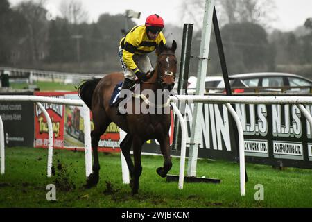 Fontwell, Regno Unito. 14 febbraio 2024, Valirann Gold, guidato da Gavin Sheehan vince il 3,50 al Fontwell Park. Foto Stock