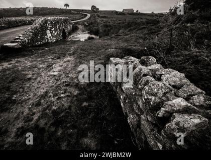 Temple, Bodmin Moor, ruscello e strada Cornovaglia Regno Unito Foto Stock