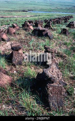 Torba tagliata e impilata per asciugare in estate Sutherland Scozia Foto Stock