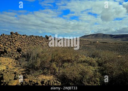 Lunghi muri rettilinei a secco fatti di rocce vulcaniche che si estendono per chilometri, El Roque, Fuerteventura, scattati nel novembre 2023 Foto Stock