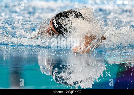 Doha, Qatar. 14 febbraio 2024. Gregorio Paltrinieri, italiano, gareggia nella finale di nuoto maschile 800m Freestyle durante il 21° Campionato Mondiale di Aquatics all'Aspire Dome di Doha (Qatar), 14 febbraio 2024. Crediti: Insidefoto di andrea staccioli/Alamy Live News Foto Stock