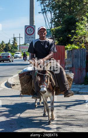 Un uomo cavalca un burro mentre conduce un altro burro carico sulla strada vicino a Bani, Repubblica Dominicana. Foto Stock