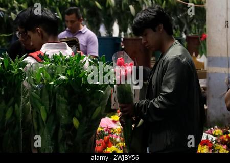 Città del Messico, Messico. 13 febbraio 2024. 13 febbraio 2024, città del Messico, Messico: Un uomo detiene un bouquet di fiori precedente festa di San Valentino. Il 13 febbraio 2024 a città del Messico, Messico (foto di Luis Barron/Eyepix Group/Sipa USA). Crediti: SIPA USA/Alamy Live News Foto Stock