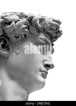La replica del David, statua di Michelangelo isolata su sfondo bianco. Primo piano in testa la foto è scattata in Piazza della Signoria a Firenze, Foto Stock
