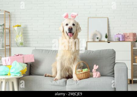 Simpatico cane Labrador con orecchie da coniglio e uova di Pasqua sul divano di casa Foto Stock