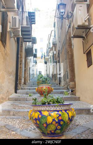 Piantare vasi di fila su una scala a Cefalù, Sicilia, Italia Foto Stock