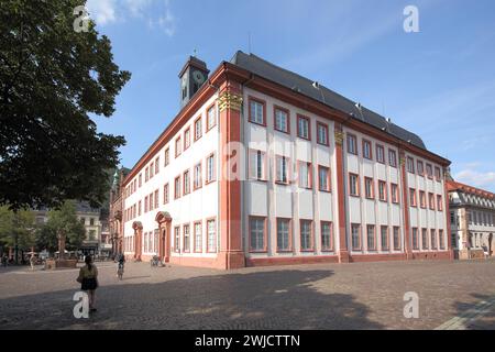 Antica Università storica nella città vecchia, Heidelberg, Bergstrasse, Baden-Wuerttemberg, Germania Foto Stock