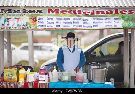 Donna peruviana vende medicine contro il cancro e il diabete al mercato indigeno di Chinchero, regione di Cusco, Perù Foto Stock