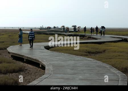 Gaomei Wetland Preservation area, Gaomei Wetlands, Taichung, Tawain. Foto Stock