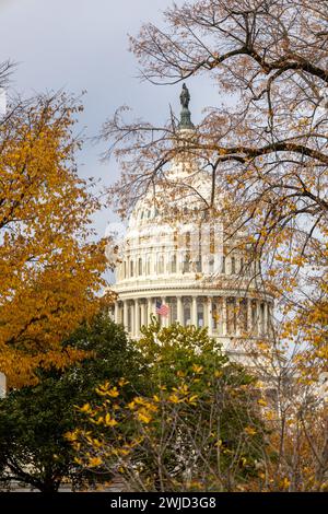 Cupola del campidoglio americano con bandiera americana incorniciata e oscurata da alberi con colori autunnali in orientamento verticale Foto Stock