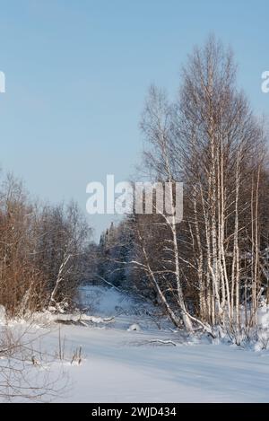 Orizzontale. L'inverno si espande in una giornata di sole gelida. Gli alberi sono ricoperti da uno spesso strato di neve. Foto Stock