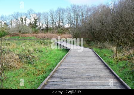 Circuito Des Korrigan, Lieu dit Mougau Bihan, Commana. Un percorso sopraelevato che ti porta sui prati umidi della torbiera Mougau Foto Stock