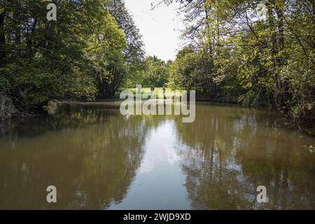 Tre pescatori si divertono a pescare circondati dalla natura lussureggiante della riva del fiume. Hobby e attività all'aperto. Foto Stock