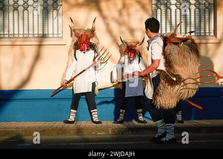 Alsasua, Spagna. 13 febbraio 2024. Un gruppo di "momotxorros" si prepara a celebrare il carnevale di Alsasua, dichiarato festival di interesse turistico a Navarra. Credito: SOPA Images Limited/Alamy Live News Foto Stock