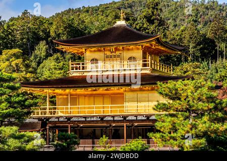 Colorato Kinkaku-Ji Rokuon-Ji Padiglione dorato Tempio buddista Zen Parco Autunno Kyoto Giappone. Risale al 1397, costruito da Shogun Ashigaga Yoshimasa e W Foto Stock