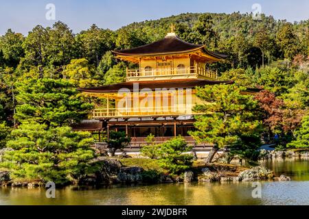 Colorato Kinkaku-Ji Rokuon-Ji Padiglione dorato Tempio buddista Zen Parco Kyoto Giappone. Risale al 1397, costruito da Shogun Ashigaga Yoshimasa e World He Foto Stock