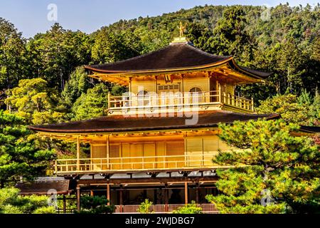 Colorato Kinkaku-Ji Rokuon-Ji Padiglione dorato Tempio buddista Zen Parco Kyoto Giappone. Risale al 1397, costruito da Shogun Ashigaga Yoshimasa e World He Foto Stock