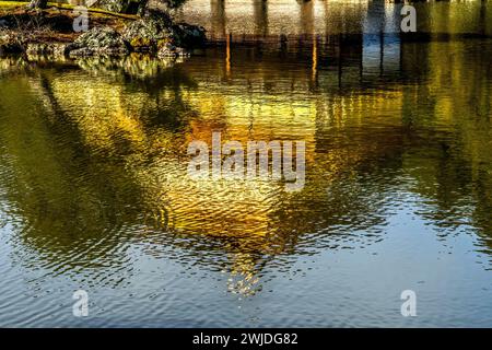 Colorato Giardino della riflessione sull'acqua Kinkaku-Ji Rokuon-Ji Padiglione dorato Parco del Tempio buddista Zen Kyoto Giappone. Risale al 1397, sito Patrimonio dell'Umanità. Foto Stock