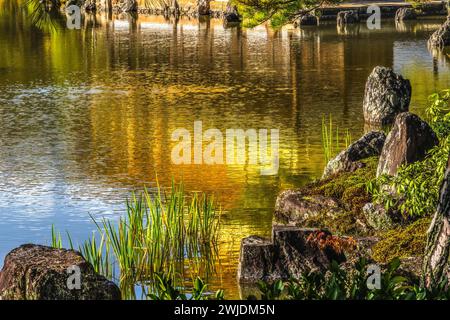 La cascata colorata lascia la riflessione sull'acqua Kinkaku-Ji Rokuon-Ji Padiglione dorato Zen Buddhist Temple Park Kyoto Giappone. Risale al 1397, sito Patrimonio dell'Umanità. Foto Stock