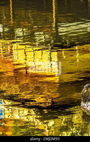 Colorato Giardino della riflessione sull'acqua Kinkaku-Ji Rokuon-Ji Padiglione dorato Parco del Tempio buddista Zen Kyoto Giappone. Risale al 1397, sito Patrimonio dell'Umanità. Foto Stock